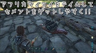 アフリカマイマイ Youtube