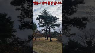 #이순신장군생가에다녀왔습니다 #현충사 #I visited the birthplace of Admiral Yi Sun-sin #Hyeonchungsa #Shorts