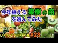 リアルどうぶつの森#28今年植える果樹の苗を選んでみた