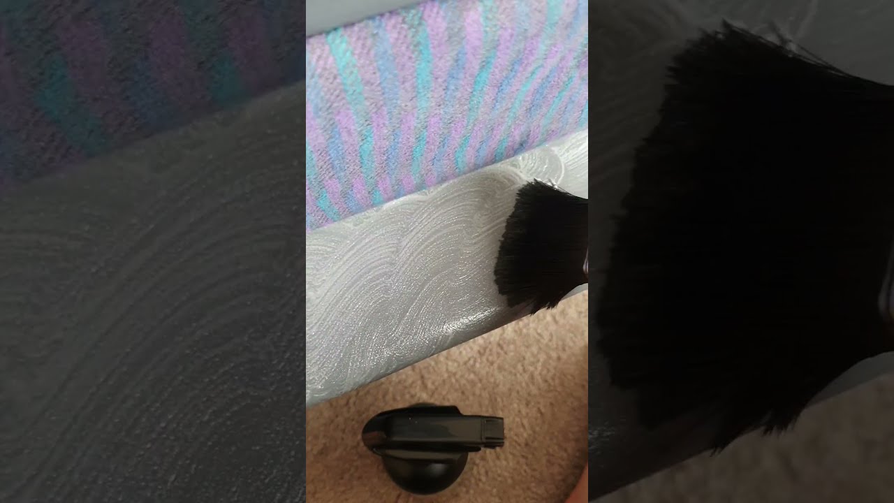 Cleaning And Detailing My Cars Interior EF XR6 Shorts
