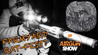 The Airgun Show | Farmyard Rat Attack | Weihrauch HW97 Review by theshootingshow 85,249 views 4 months ago 18 minutes