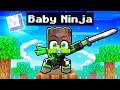 Sono DIVENTATO il BABY NINJA più FORTE del MONDO in Minecraft