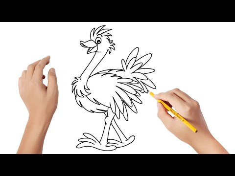 Vídeo: Como Desenhar Um Avestruz Com Um Lápis