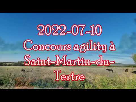 2022/07/10 Concours agility Saint Martin du Tertre