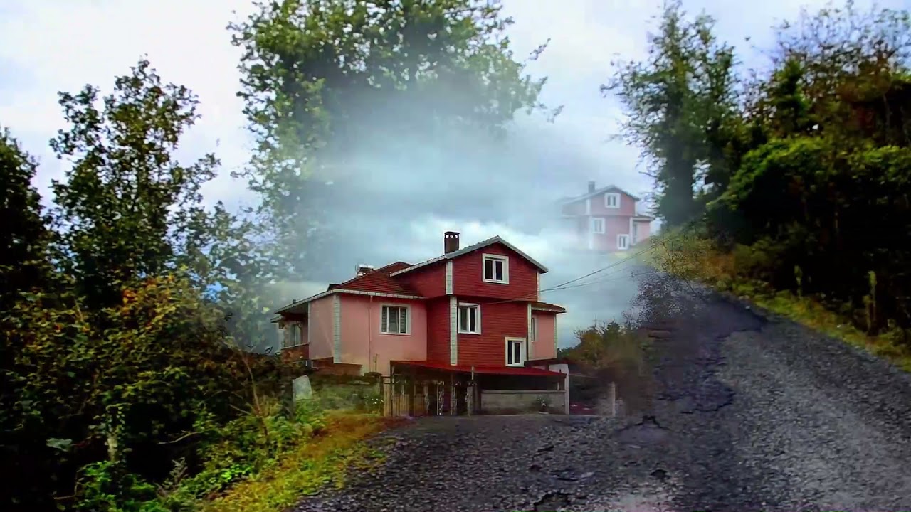 Ereğli Azizbeyler 'den Yazıcılar Köyüne Doğru İnerken #yereldoga67 #yazıcılarkoyu #zonguldakeregli