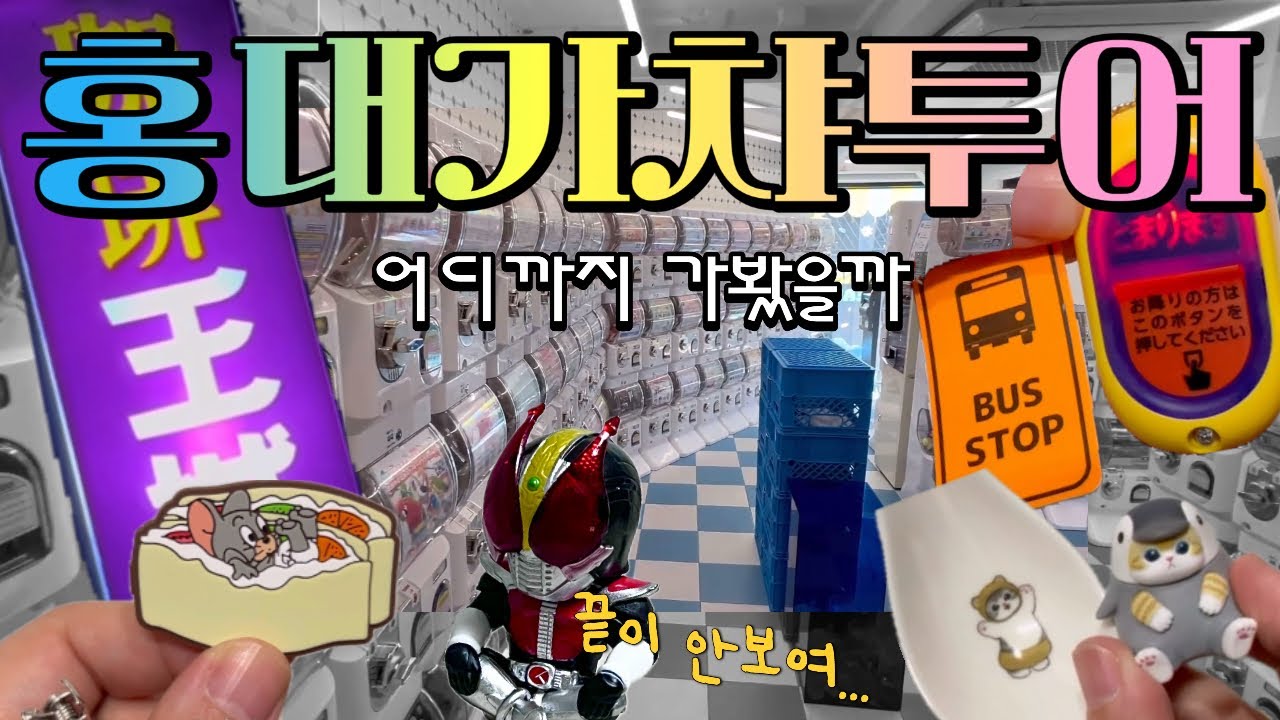 홍대에서 가챠는 끝이 안나🤣츄플레이/코끼리밥캡슐토이/헬로수미코/ak플라자/가챠오션/애니세카이/js스토어