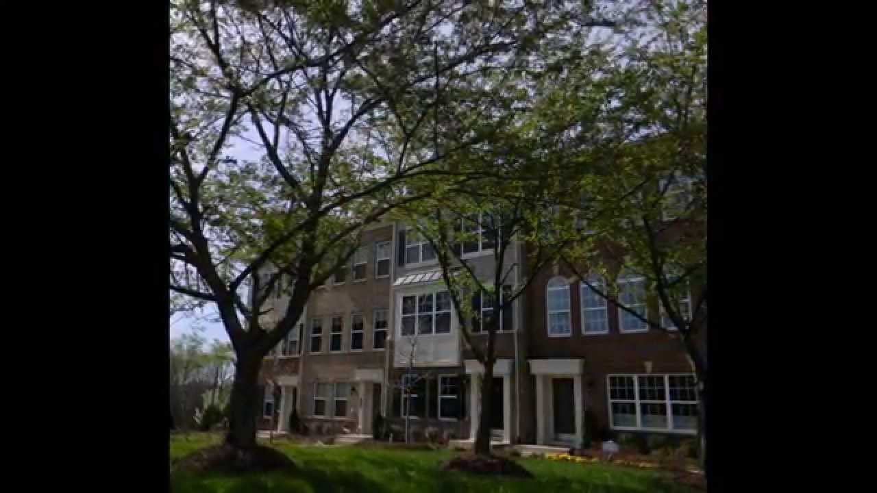 Real Estate View The Top Realtors in Northern Virginia Fairfax