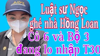 Luật Sư Ngọc Biêu Mập Vlog Đang Phát Trực Tiếp999