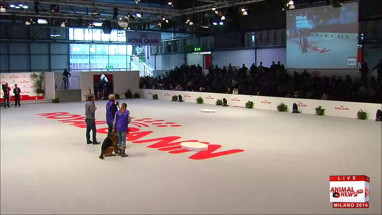 Milano 2014 Massimo Perla e Rex