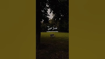 {فَصَبْرٌ جَمِيلٌ ۖ وَاللَّهُ الْمُسْتَعَانُ عَلَىٰ مَا تَصِفُونَ}#قرآن #سورة_يوسف #محمد_هشام #quran