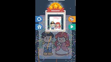 Satisoul Perfect Organise Level 24