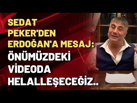 Sedat Peker'den Erdoğan'a mesaj: Önümüzdeki videoda helalleşeceğiz...