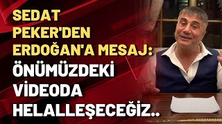Sedat Peker'den Erdoğan'a mesaj: Önümüzdeki videoda helalleşeceğiz...