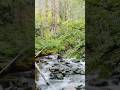 #park #nature #naturelovers #vlog #minivlog #fishing #family #cozy #housewifelife #sahmlife #fyp