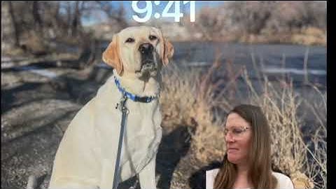 ECE 1240 Lecture 36 Exam 3 Review capacitors inductors RC RL phasor analysis part 2