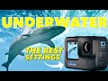 The BEST GoPro Underwater Settings! Hero 10 & Hero 11, Hero 12