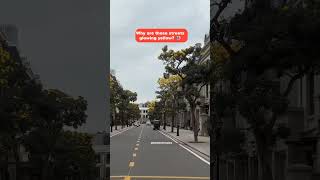 Why are these streets glowing yellow? 👀
