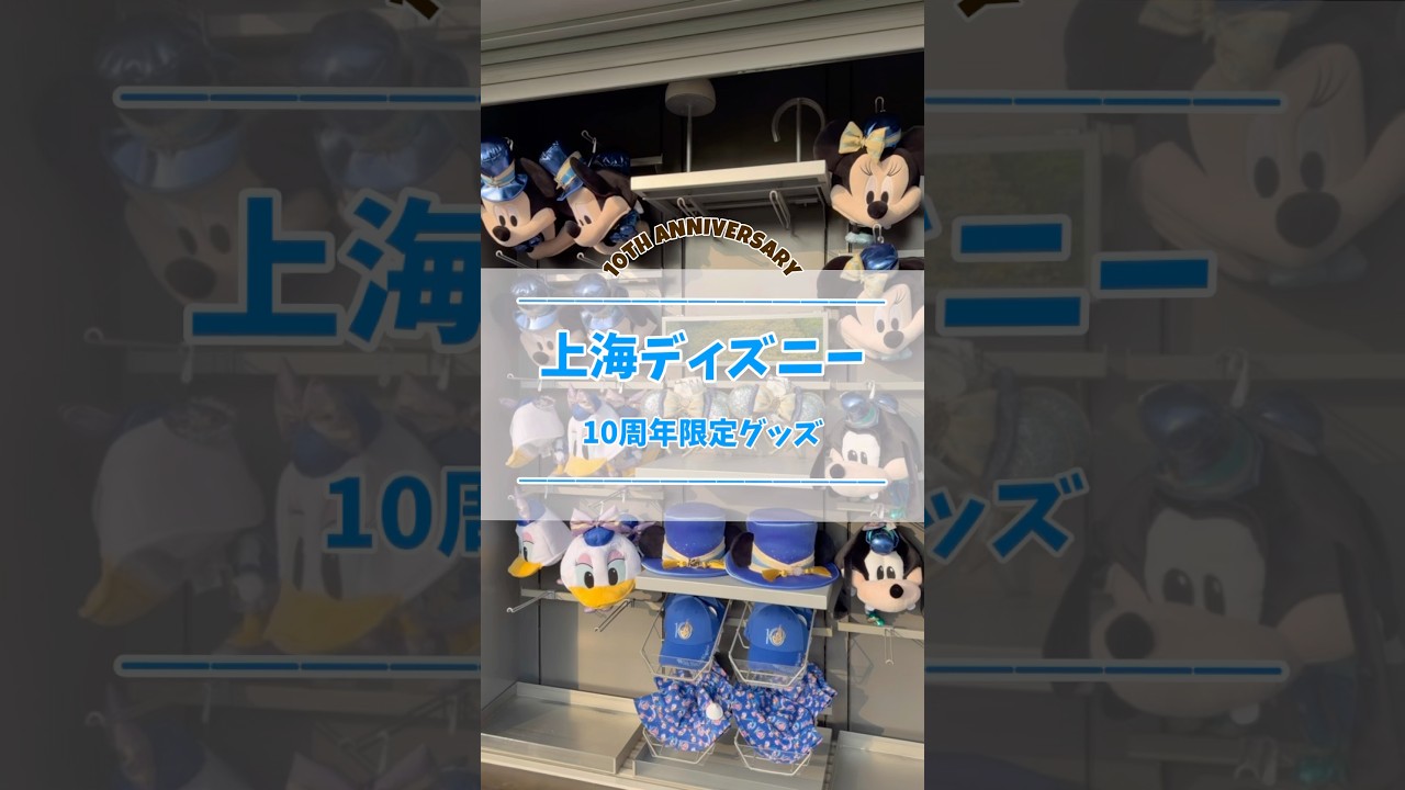 8種コンプリート】上海ディズニー 10周年限定ピンバッジ 未開封 上海限定