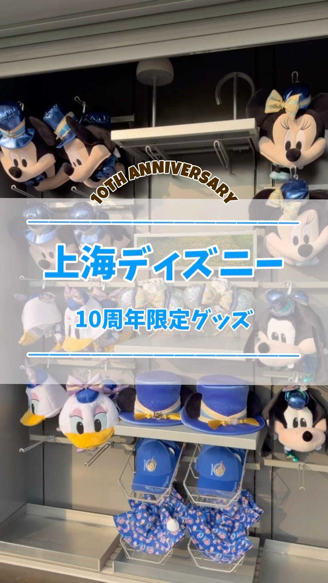 【3月23日まで限定】 上海ディズニー　10周年　ドリンクボトル　新品 上海ディズニーズートピアグッズ：マスコットドリンクボトル
