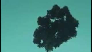 Full Album Nike Ardila, Inka Christie, Poppy Mercury Best Audio