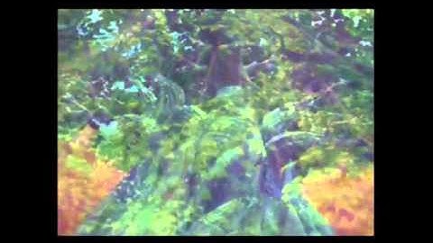 Final Fantasy IX Walkthrough - Part 20