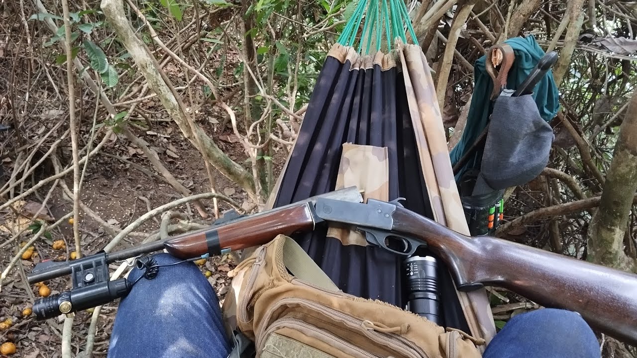 Espera Na Ceva De Paca! Veja O Que Aconteceu: