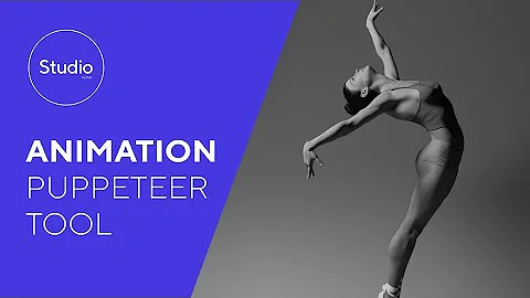 Daz 1.6: Animation Puppeteer Tool