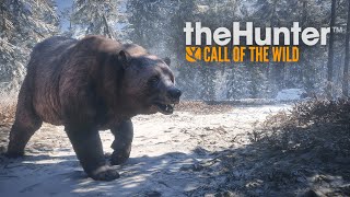 [더 헌터] 현실같은 사냥게임! 사자부터 곰까지 모두 잡아보자🐻 (The Hunter: Call of the Wild™) screenshot 2