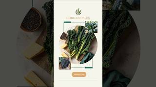 "Kale and White Bean Soup" with Mulberry Tree's Heirloom Tales