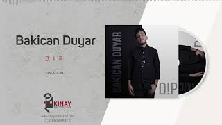 Bakican  Duyar - Dip Resimi