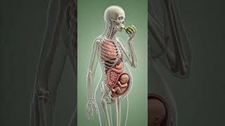 What Happened Inside Your Body When You Eat Kiwifruit During Pregnancy Watch #pregnancy #babygrowth
