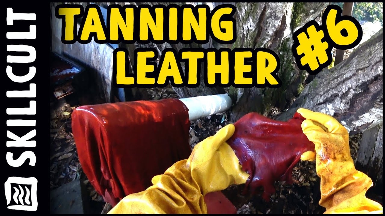 From Raw Hide to Leather, Old School Sheep and Cattle Oak Tanning