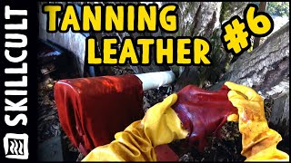 From Raw Hide to Leather, Old School Sheep and Cattle Oak Tanning