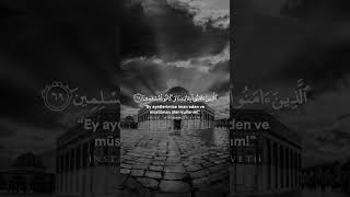 Zuhruf süresi Muhammed Sıddık Al Minshawi #quran_tilavetii Resimi