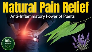 Natural Pain Relief: Discover the AntiInflammatory Power of Plants