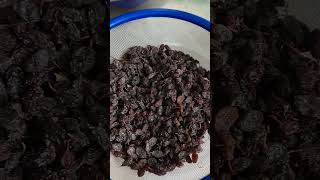 Paano Ko Nilinis Ang Bi Na Pasas, Health Benefits Of Eating Raisins