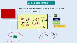 DOWNSTREAM PROCESSING E M