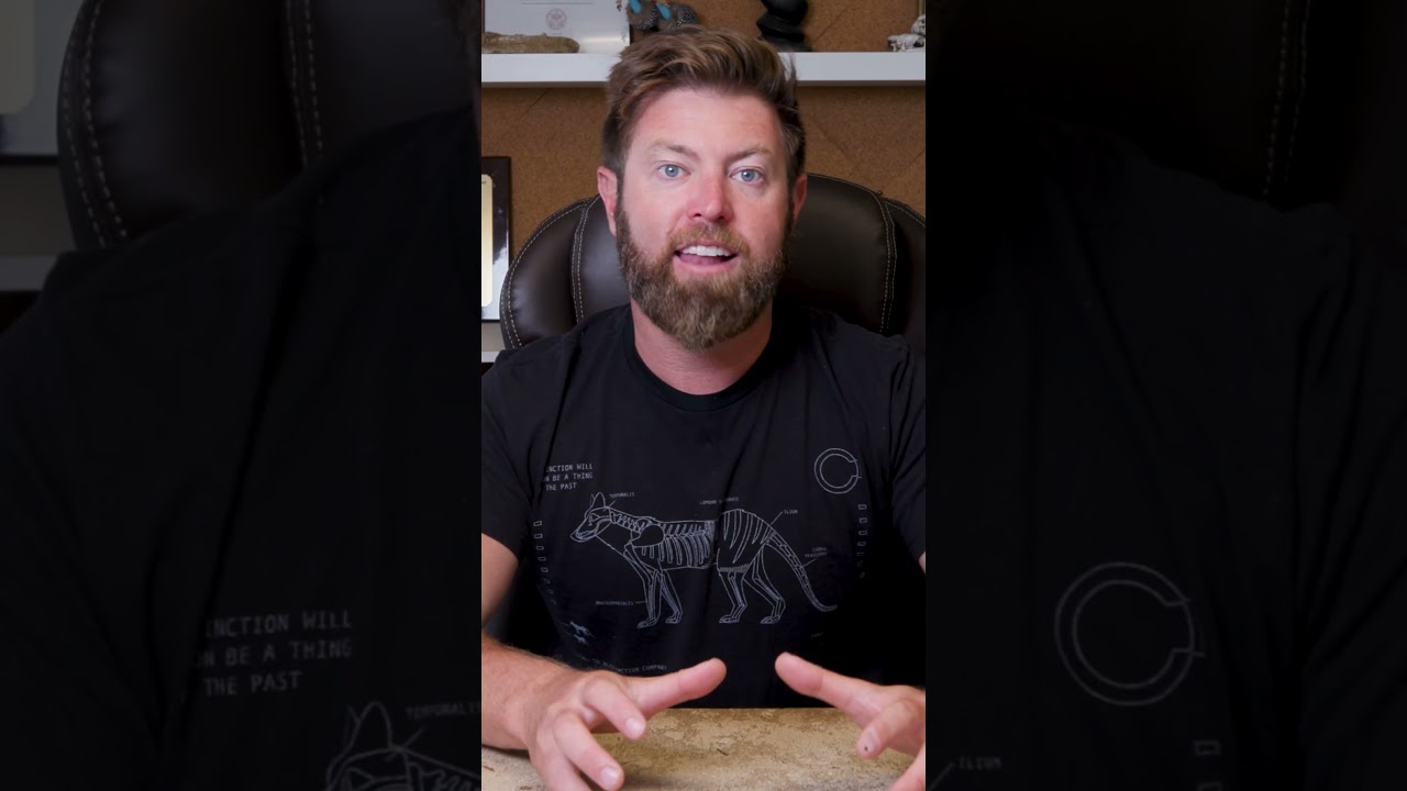 Is the Tasmanian Tiger REALLY Coming Back From Extinction?