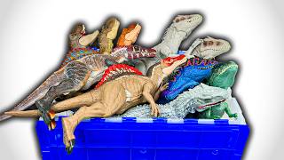 HUGE Haul Of The MOST POPULAR Dinosaurs: April 2024 | T-Rex, I-Rex, Giganotosaurus & More!