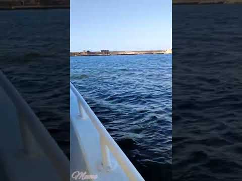 جمال بحر الاسكندريه في مصر