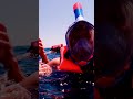 🇪🇬🌴 Ägypten Reise 2018 – Sonne, Meer & unvergessliche Eindrücke ✨ Part 2