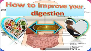 how to improve your digestion?
