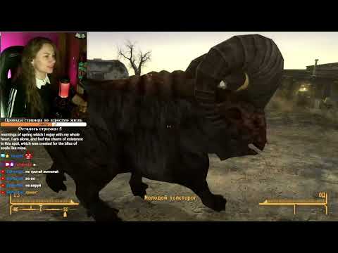 Видео: Радиопассивная служба доставки ☢ Fallout: New Vegas. Часть 1. #Общение #Позитив