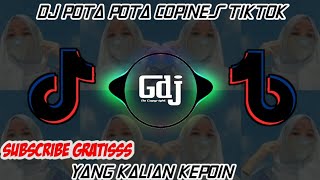 DJ POTA POTA COPINES TIK TOK JEDAG JEDUG DJ VIRAL TERBARU 2021 screenshot 2