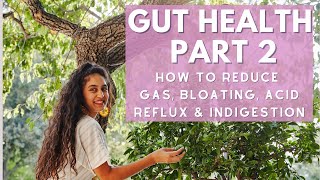 GUT HEALTH: HOW TO IMPROVE IMMUNITY + REDUCE GAS, BLOATING & INDIGESTION