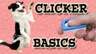 Clicker Training Basics  Dog Training