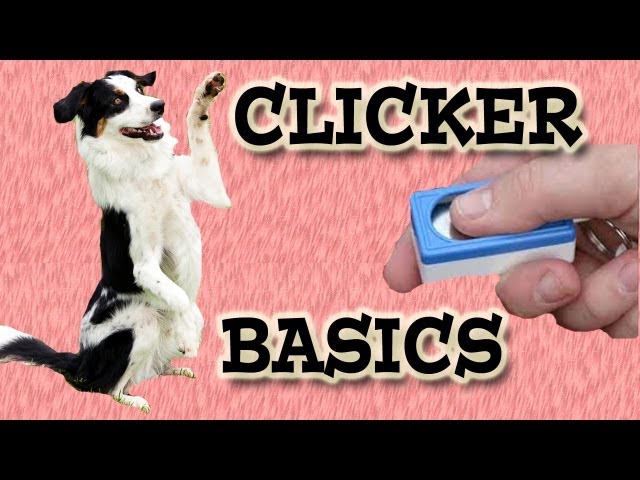 Clicker Training Your Dog - Part I 