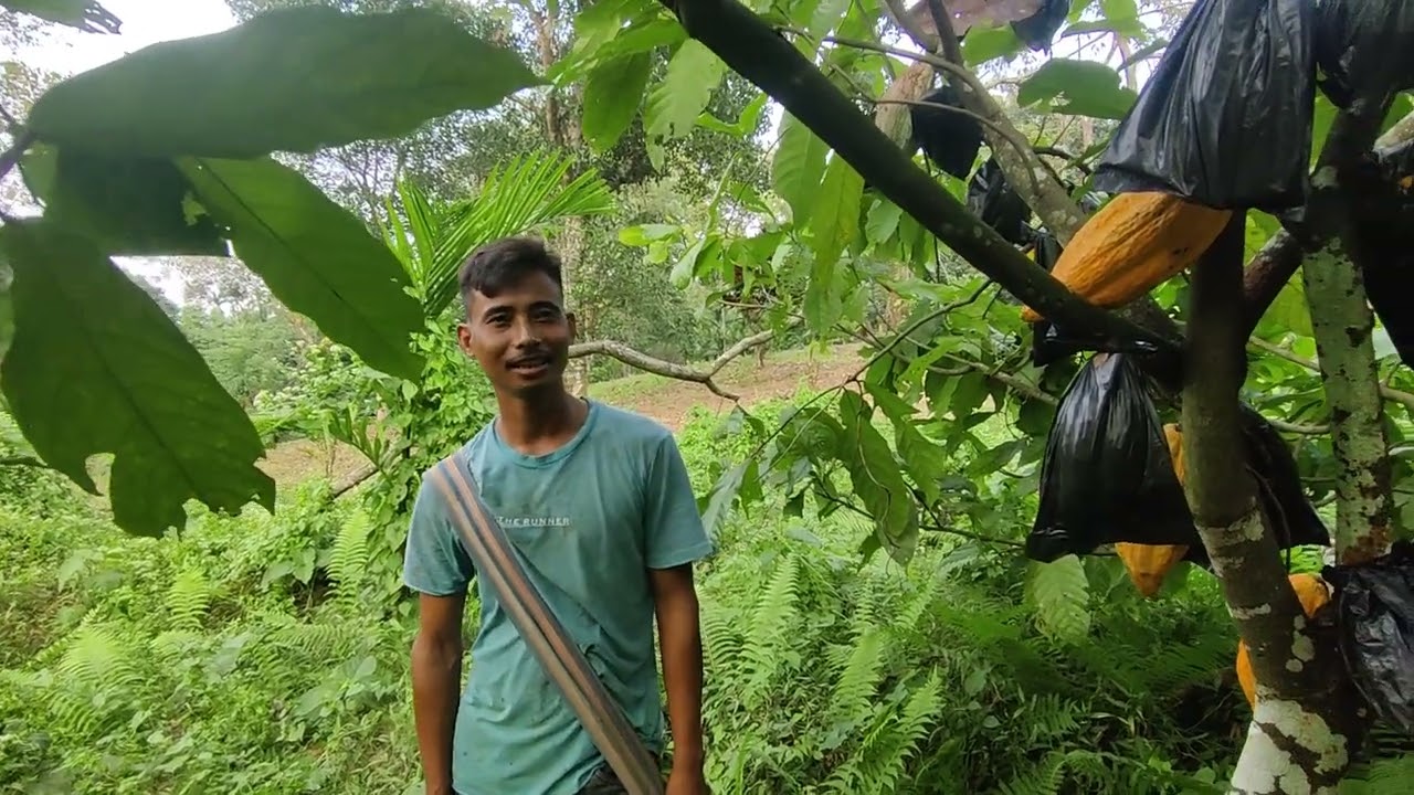 Dimoria Assam Wadi project 