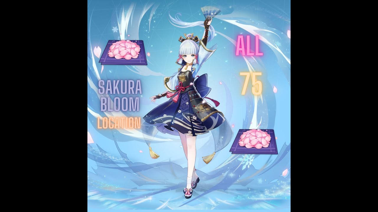 ALL 75 SAKURA BLOOM FARMING ROUTE LOCATION|Complete Guide & Efficient Route Genshin Impact Indonesia