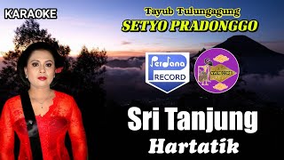 Karaoke Sri Tanjung - Hartatik | Tayub Setyo Pradonggo Tulungagung PERDANA RECORD